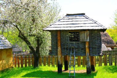 Ormandaki ahşap depo.