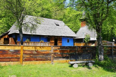 Romanya 'nın kırsalında güzel bir kır evi