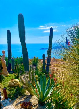 Eze köyündeki kaktüs bahçesi.