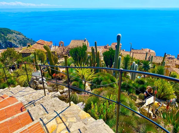 stock image cactus garden in the village of Eze