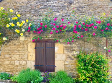 Chateauneuf-en-auxois içinde gül çiçekleri olan pencere