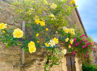 Chateauneuf-en-auxois içinde gül çiçekleri olan pencere