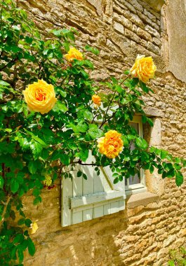 Chateauneuf-en-auxois içinde gül çiçekleri olan pencere