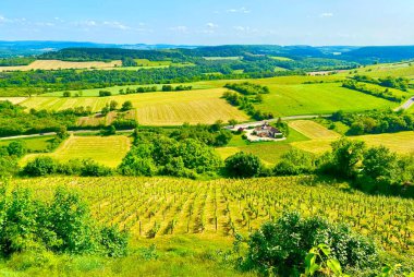 Burgundy 'deki tarlaların güzel manzarası