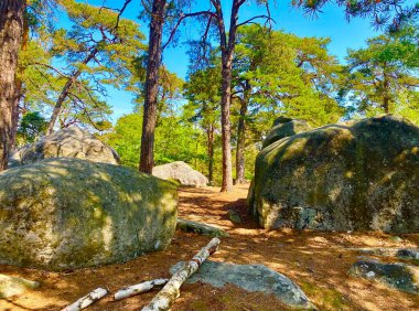 Fontainebleau 'da dev kayalıkları olan bir orman