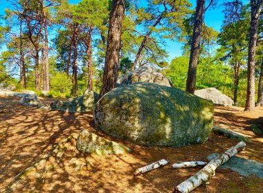 Fontainebleau 'da dev kayalıkları olan bir orman