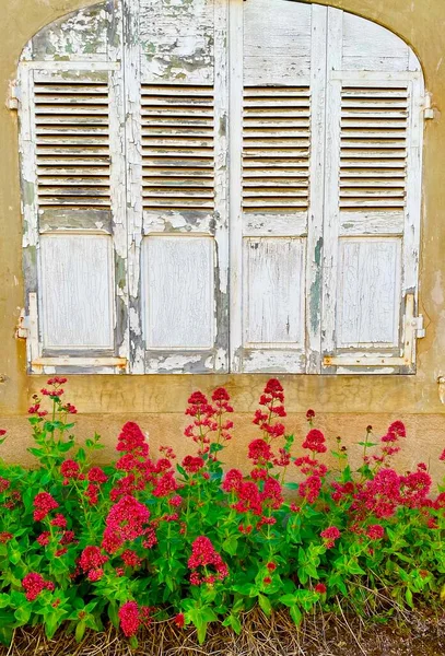 Окно Цветами Semur Auxois — стоковое фото