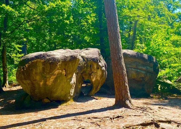 Floresta Com Rochas Gigantes Fontainebleau — Fotografia de Stock
