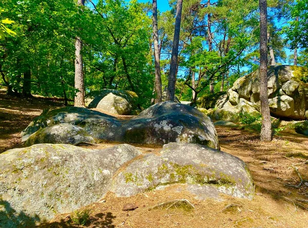 Las Olbrzymimi Skałami Fontainebleau — Zdjęcie stockowe