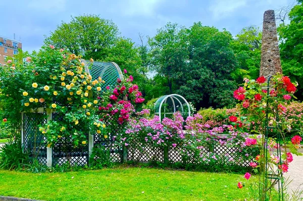Розовый Сад Мбаппе Небольшом Парке Площади Рене Галль Париже — стоковое фото