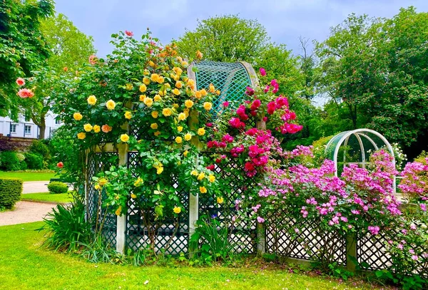 Krásná Růžová Zahrada Malém Parku Náměstí Rene Gall Paříži Royalty Free Stock Obrázky