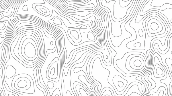 Fractale Lijnen Achtergrond Topografische Kaart Als Abstract Decor — Stockfoto