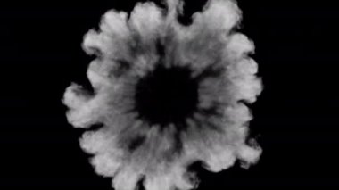 Şok dalgası duman patlaması. Buhar veya toz dalgası animasyonu. Alfa kanalı gömülü