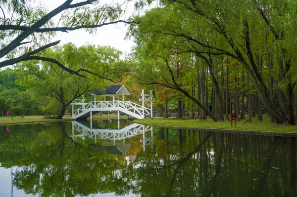 Otoño Parque Forestal Shanghai — Foto de Stock
