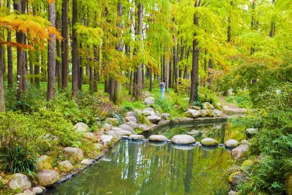 Şangay Parkı 'nda sabah egzersizi.