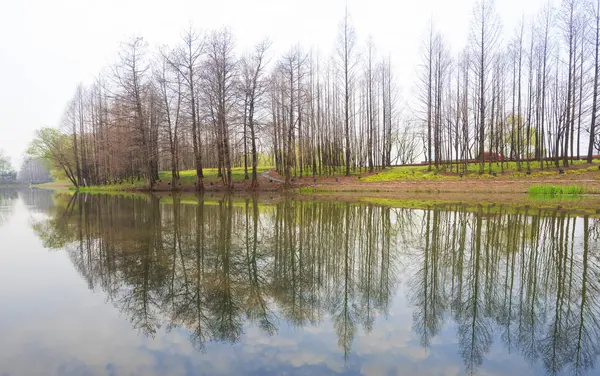 Bahar Şangay 'a geliyor.