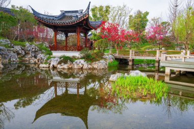 Bahar Shen bahçesine geliyor.