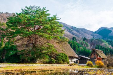 Japon manzarası ve Shirakawagou köyü