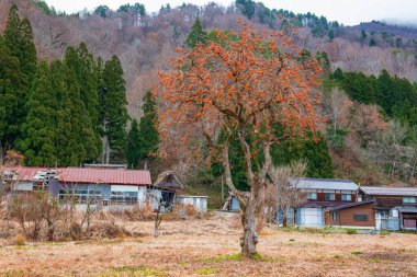 the Japanese  landscape  and  Shirakawagou villege clipart