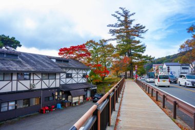 Nikko 'da Sonbahar ile Japonya' ya seyahat
