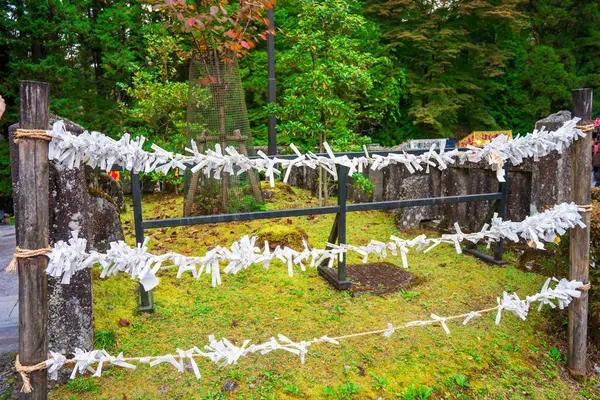 Japonya 'da Sonbahar ile Nikko' ya seyahat