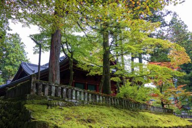 travel to Japan with Autumn in Nikko clipart