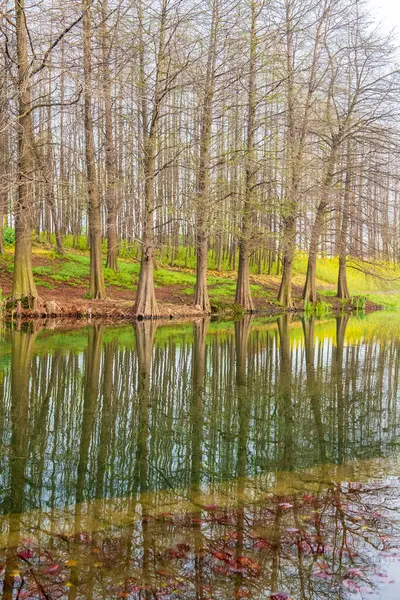 Nehirde yürüyorum ve tecavüz çiçekleri görüyorum.