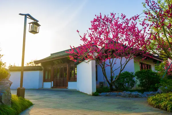 Şangay 'daki güzel bahçeyi gezip şeftali çiçeklerini görmek.