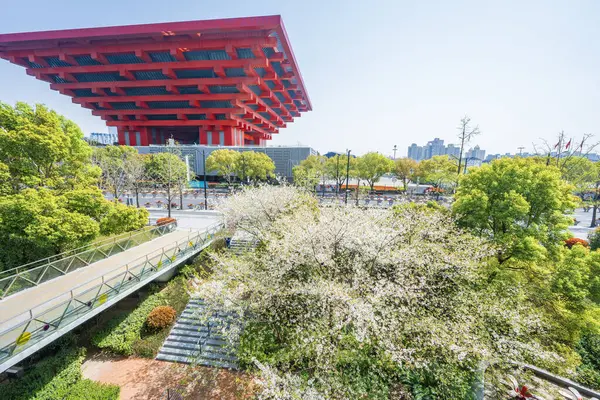 Şangay 'a gidip güzel oryantasyon kirazlarını görmek.