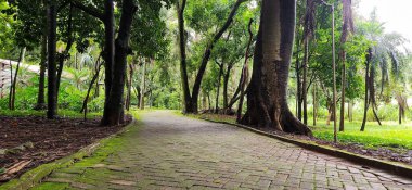 Yoğun ve uzun ağaçlarla çevrili yemyeşil bir parkın içinden geçen sessiz bir tuğla yol. Güneş ışığı yaprakların arasından süzülerek sakin ve davetkar bir doğal atmosfer yaratır..