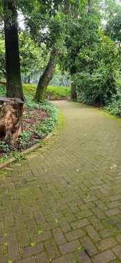 Huzurlu, yosun kaplı bir tuğla yol, bereketli ağaçlar ve yapraklar arasında sakin bir park ortamında esiyor. Huzur ve doğa ile bağlantı hissi uyandırıyor..