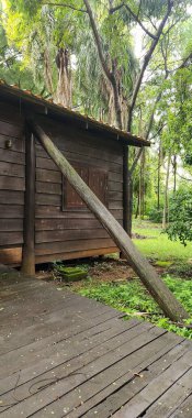 Kırsal bir ahşap kulübe, sık ve gür bir ormanda derme çatma bir kütükle desteklenmiş bir şekilde sessizce durur. Huzurlu doğa düzeni yalnızlığı ve kaçışı çağrıştırıyor. Huzurlu bir geri çekilme ya da doğa kaçamağı için ideal..