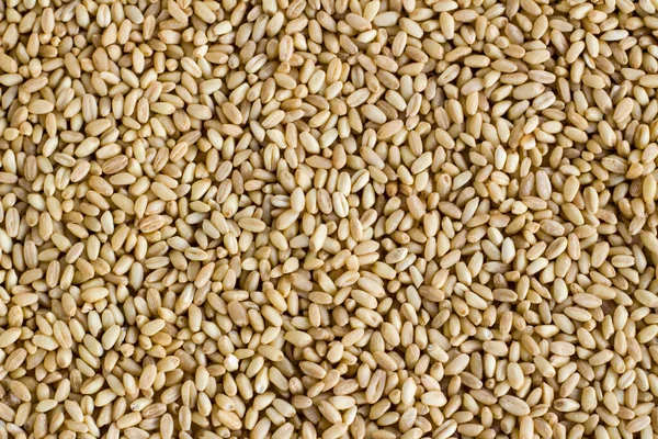 Close Taken Natural Wheat Grains Background Harvest Concept — Stock Photo, Image
