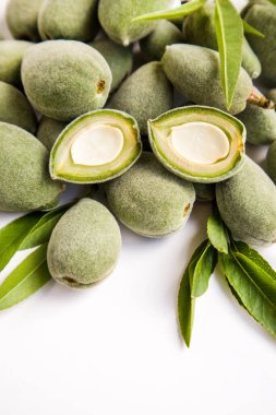 Taze, olgunlaşmamış yeşil bademler, dilimlenmiş yeşil yapraklarla beyaz yüzeyde birikir. Genellikle nisan ayında koparılırlar.