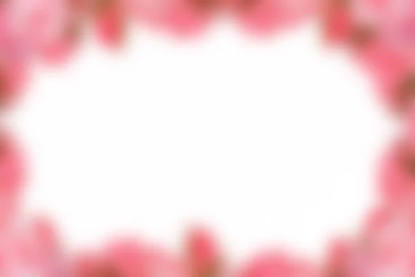 Cornice Con Fiori Rosa Sfumati Sfumati Superficie Bianca Vuota Illustrazione — Foto Stock