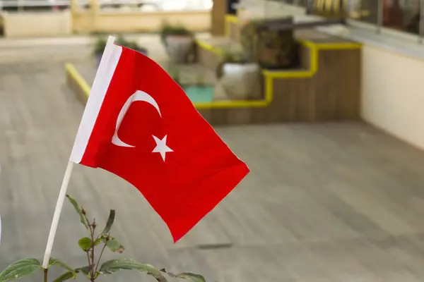 Lite Tyrkisk Flagg Pott Foran Uskarp Butikk – stockfoto