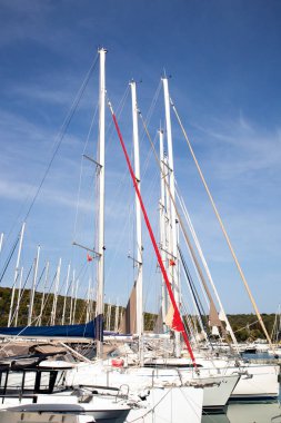 Luxury yachts with sails lowered and moored in the marina,vertical image clipart