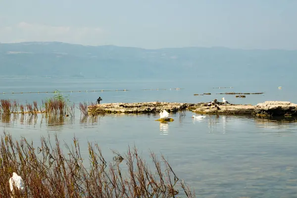 stock image One of the most important discoveries in the field of underwater archaeology in recent years is the Iznik Underwater Basilica.It was discovered in Bursa, Turkey in 2014.