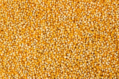 Kurumuş mısır taneleri arka plan, geniş manzara