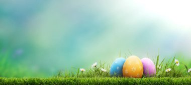 Üç boyalı Paskalya yumurtası bir bahar günü yeşil çayır, parlak güneş ışığı ve fotokopi alanı olan serin bir arka plan ile mutlu bir Paskalya kutlaması..