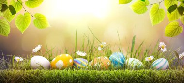 Yedi boyalı Paskalya yumurtası bir bahar gününde yeşil çimen çayırı, parlak güneş ışığı, ağaç yaprakları ve fotokopi alanı olan sıcak bir arka plan ile mutlu bir Paskalya kutlaması..