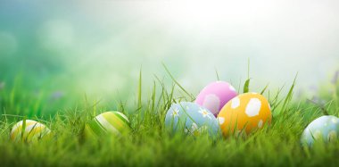Altı tane boyalı Paskalya yumurtası bir bahar günü yeşil çayır, parlak güneş ışığı ve fotokopi alanı olan serin bir arka plan ile mutlu bir Paskalya kutlaması..
