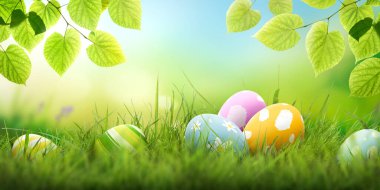 Altı tane boyanmış Paskalya yumurtası bir bahar gününde yeşil çimen çayırı, parlak güneş ışığı, ağaç yaprakları ve fotokopi alanı olan sıcak bir arka plan ile mutlu bir Paskalya kutlaması..