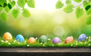 Seven painted easter eggs celebrating a Happy Easter on a spring day with a green grass meadow, bright sunlight, tree leaves and a warm colour background with copy space and a wooden bench to display products. clipart