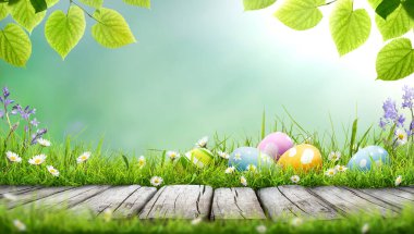 Beş boyalı Paskalya yumurtası bir bahar günü yeşil çimen çayırı, parlak güneş ışığı, ağaç yaprakları ve fotokopi alanı olan serin bir arka plan ve ürünleri sergilemek için ahşap bir bank ile mutlu bir Paskalya kutlaması..