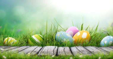 Altı boyalı Paskalya yumurtası bir bahar gününde yeşil çimen çayırı, parlak güneş ışığı ve fotokopi alanı ve ürünleri sergilemek için ahşap bir bankla mutlu bir Paskalya kutlaması..