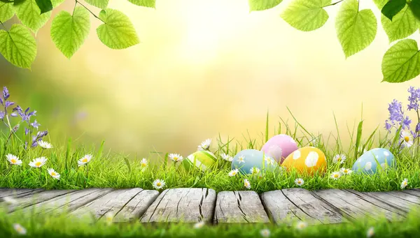 Beş boyalı Paskalya yumurtası bir bahar günü yeşil çimen çayırı, parlak güneş ışığı, ağaç yaprakları ve fotokopi alanı olan sıcak bir arka plan ve ürünleri sergilemek için ahşap bir bank ile mutlu bir Paskalya kutlaması..