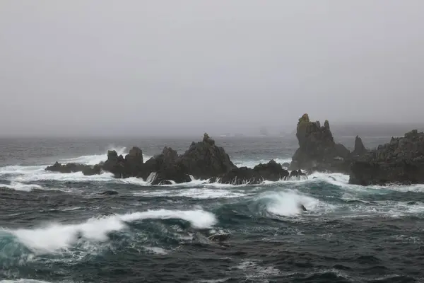 stock image A rocky shoreline on the Atlantic Ocean  in The Dungeon Provincial Park, Bonavista Peninsula Newfoundland and Labrador, Canada.