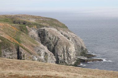 Cliffs at the Gannet Colony at Cape St. Mary's Ecological Reserve, Avalon, Newfoundland clipart