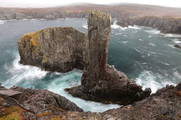 stock image The Chimney, at Spillars Cove in Newfoundland and Labrador, Canada